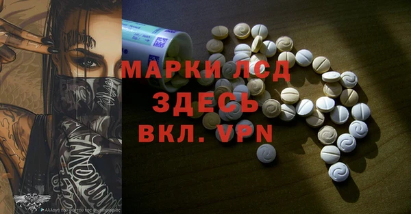 стафф Бердск