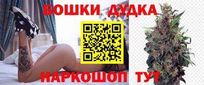 бошки Будённовск