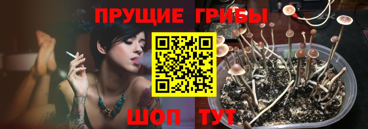 Краснотурьинск  Псилоцибиновые грибы ЛСД  Галлюциногенные грибы Psilocybine cubensis  Вход с VPN 